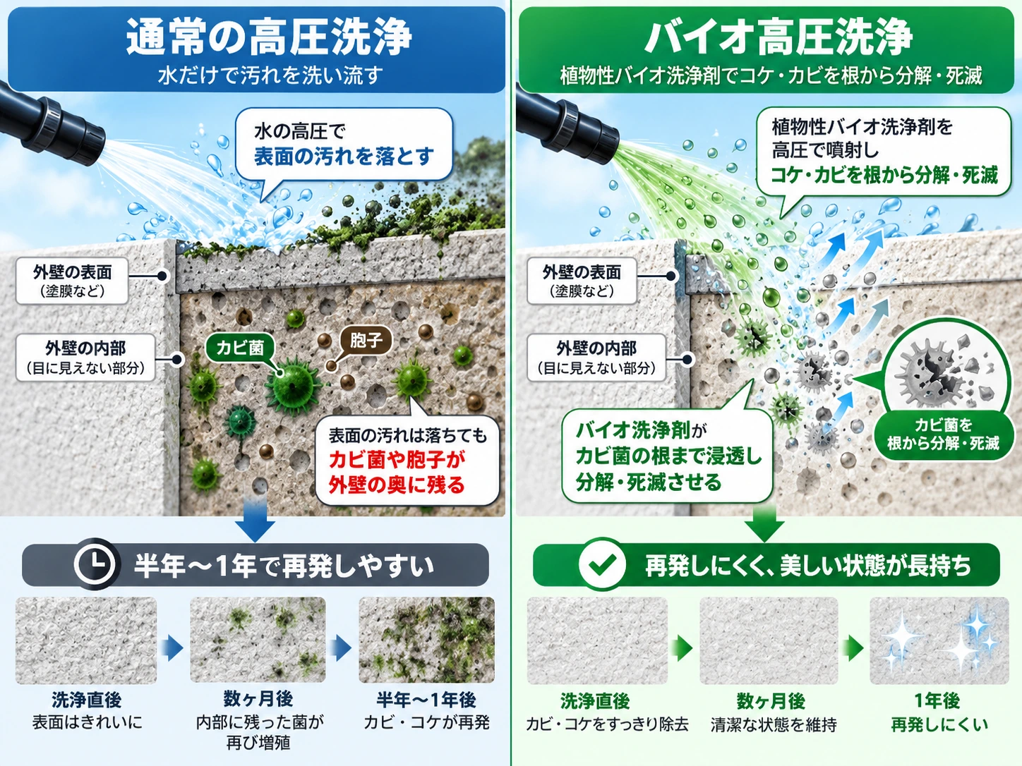 【外壁のコケ・カビ根絶】水洗いだけはダメ？姫路市で効果抜群のバイオ高圧洗浄と防カビ塗装